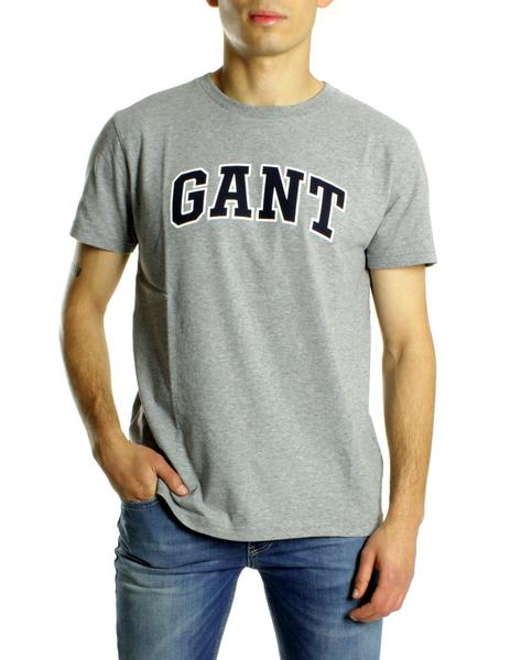 Gant T-Shirt Gris