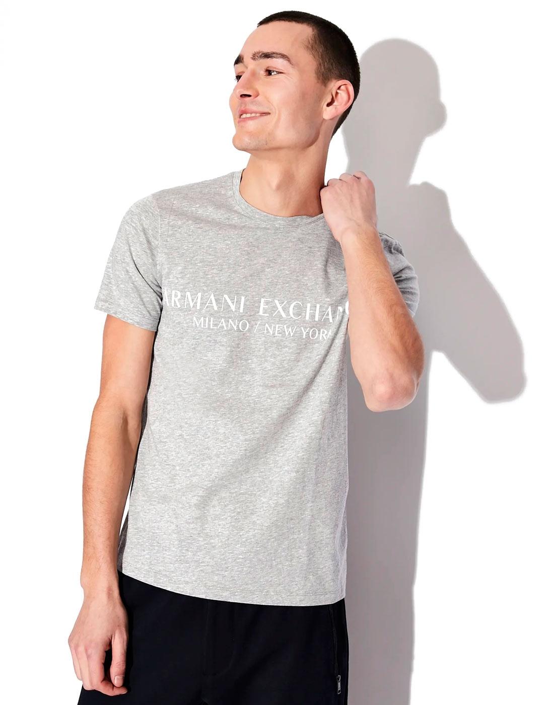 Armani Exchange Camiseta Hombre Logo Gris