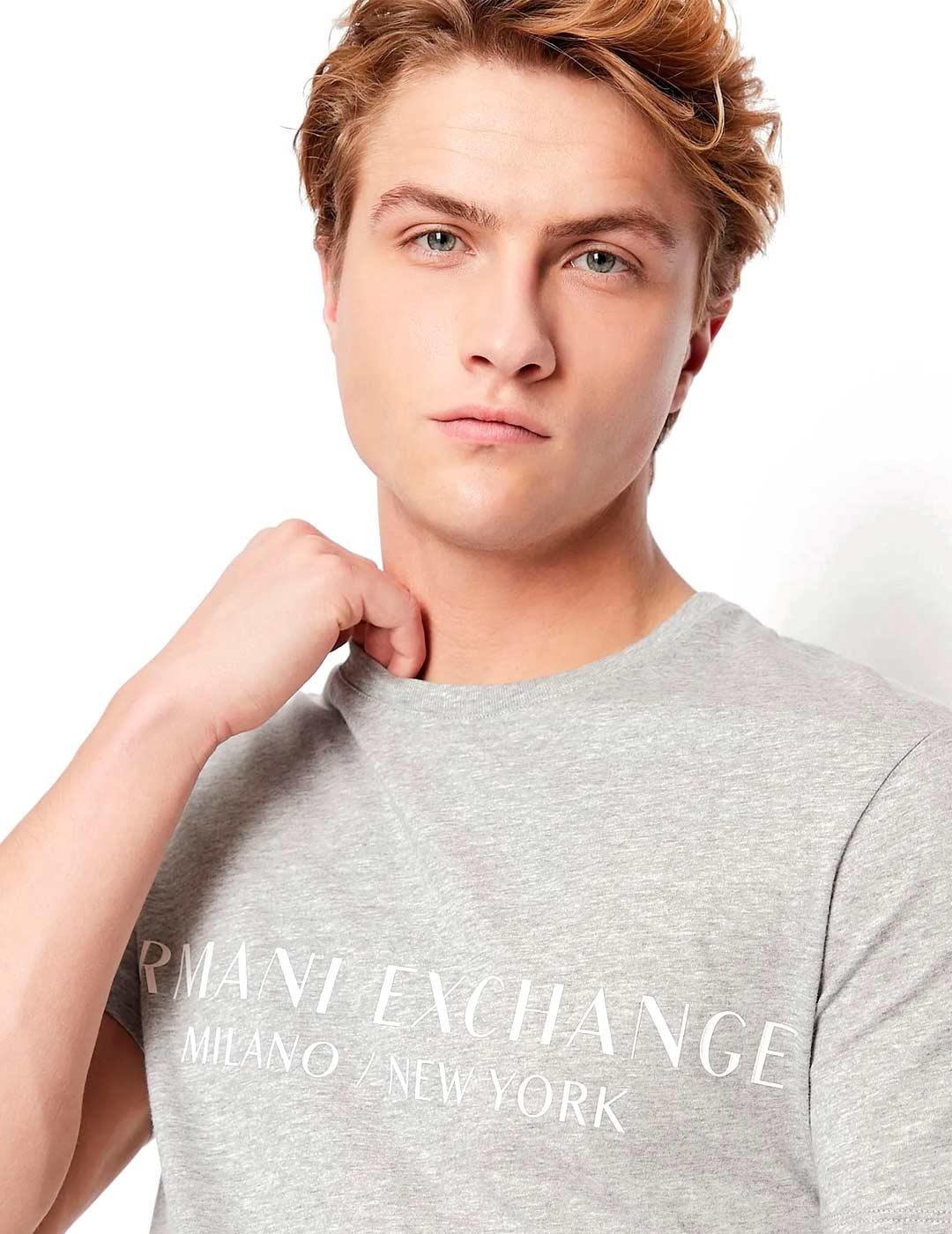 Armani Exchange Camiseta Hombre Logo Gris